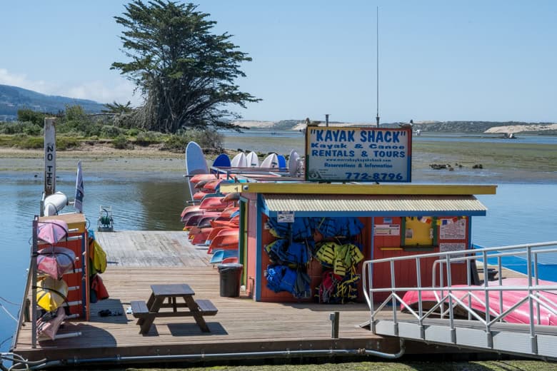 Kayak Shack dock at the Marina
