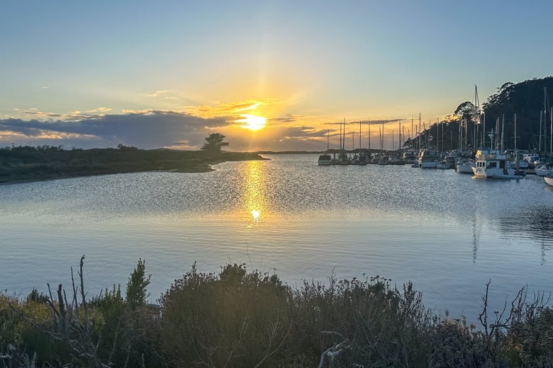 View of the marina from Marina Peninsula Trail