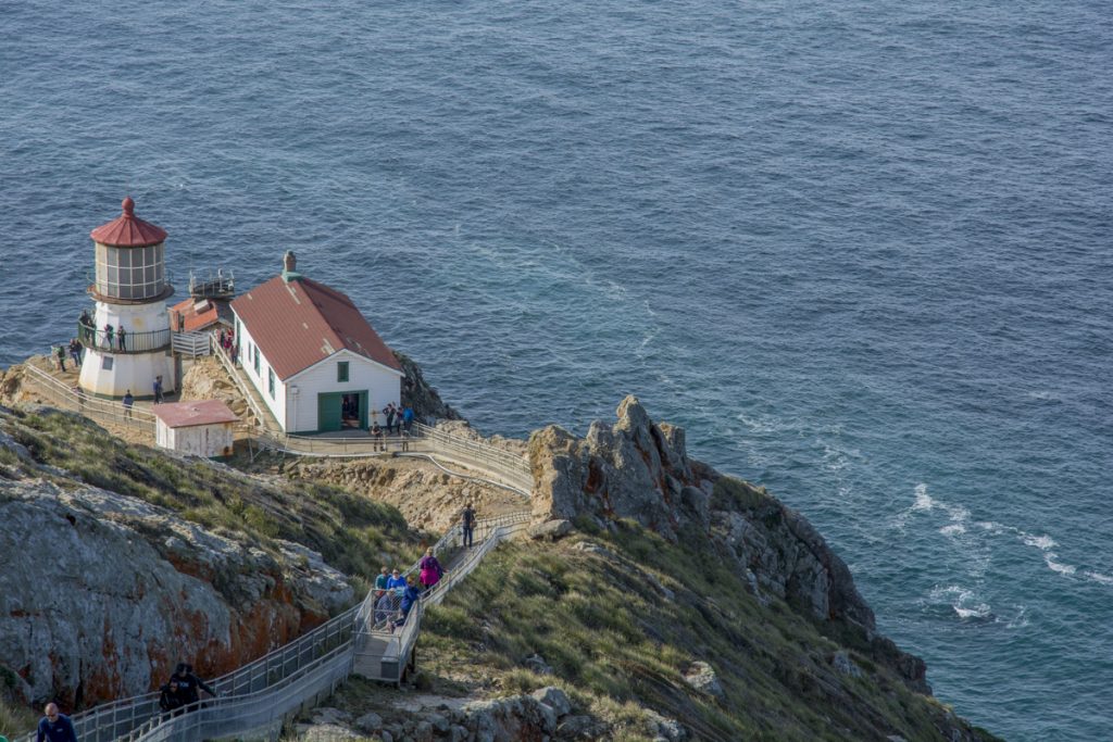 Point Reyes Lookout Your Guide to Point Reyes Hiking | Hidden Gems and Iconic Trails