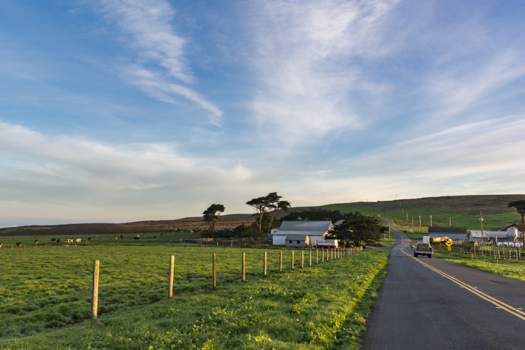Point Reyes Stewart Ranch Your Guide to Point Reyes Hiking | Hidden Gems and Iconic Trails