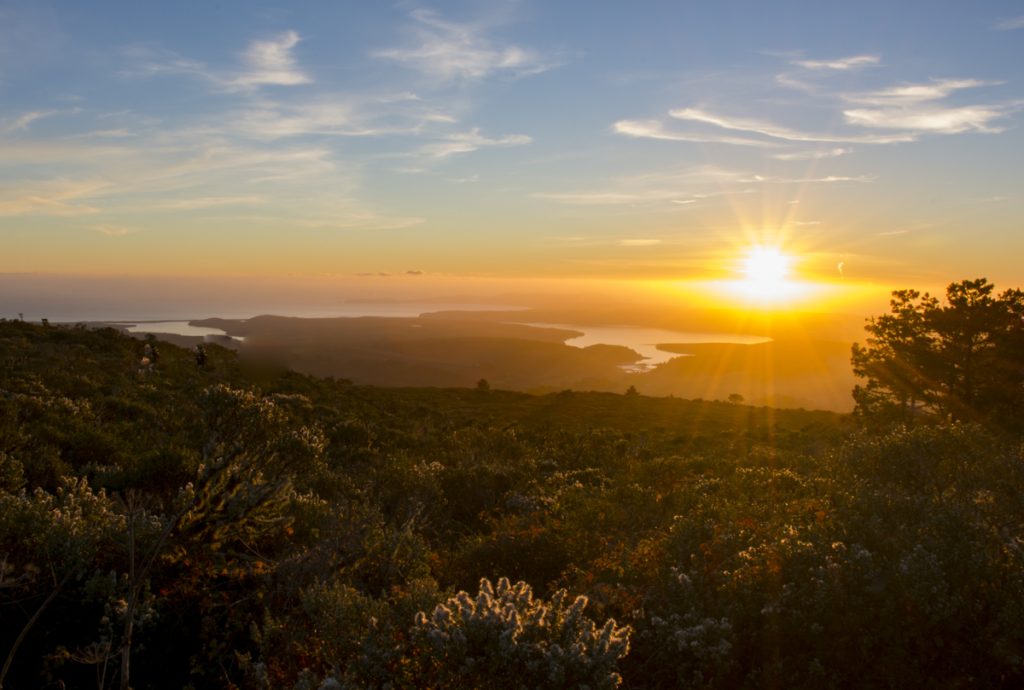 Your Guide to Point Reyes Hiking | Hidden Gems and Iconic Trails