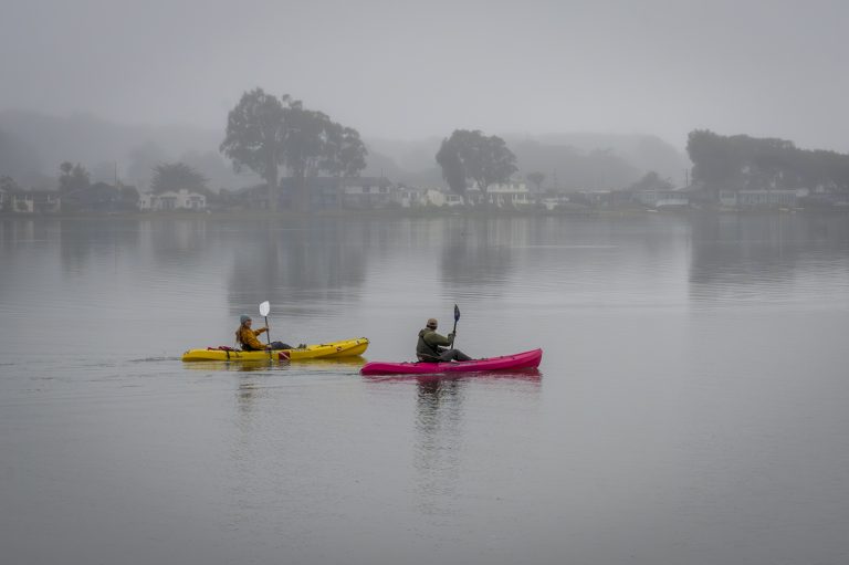Two kayakers paddeling in winter fog