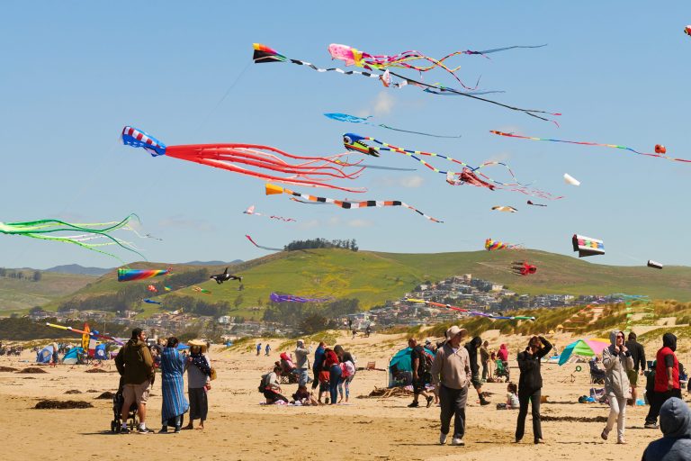 Spectators at the Morro Bay Kite Festival
