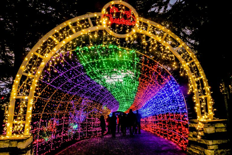 Light tunnel at the entrance of the Cambria Christmas Market