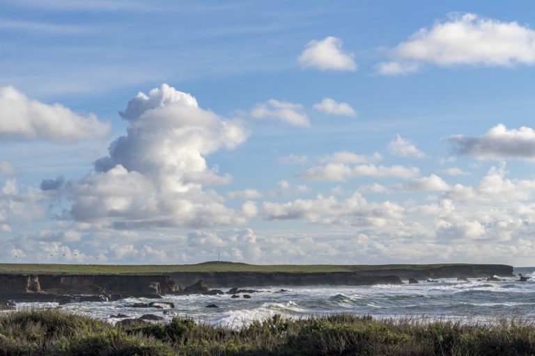 Coastal Views Along the Trail