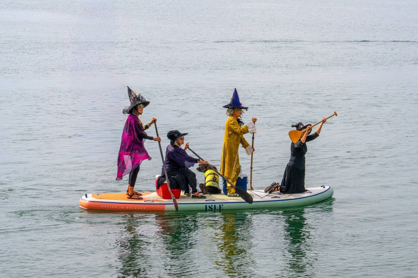 Four costumed paddlers dressed as witches on a paddleboard during the Morro Bay Witches Paddle