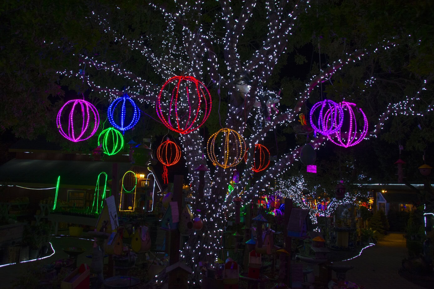Xmas Market, Cambria-20