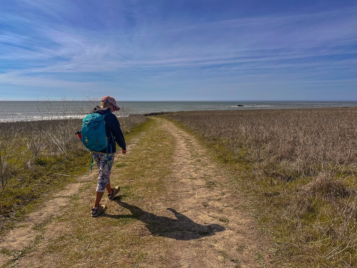 Person walking along a coastal trail at Estero Bluffs State Park near Cayucos, California.
